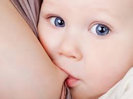lactancia materna  LACTANCIA MATERNA pezones en la lactancia1 1